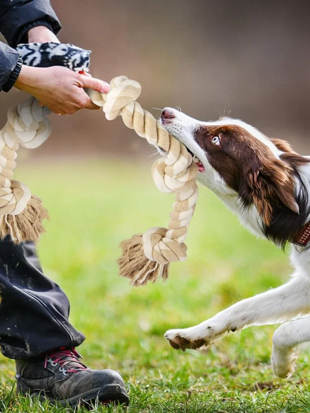 Dog Rope Toys for Large/Medium Aggressive Chewers, Tough Cotton Chew Toy, 3 Feet - Picture 7 of 7